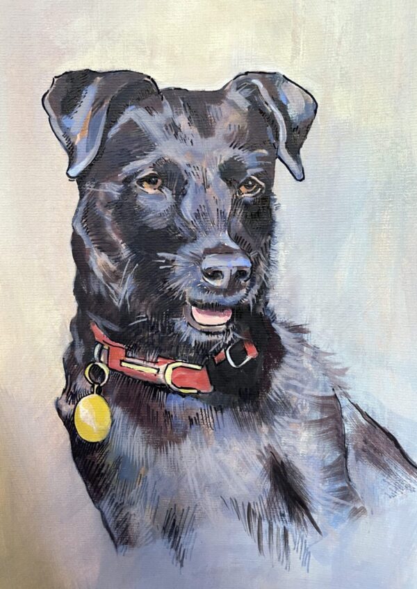 PET PORTRAITS - Image 3