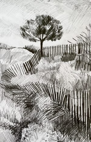 Fearless Drawing - Wednesday 9th September 2026