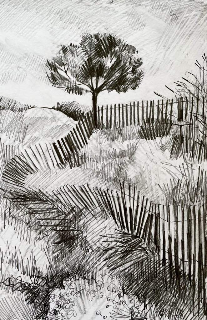 Fearless Drawing - Wednesday 9th September 2026