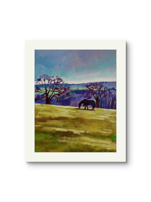 WHERE THE WIND WATCHES - Image 3